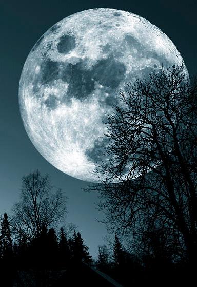 Bìa truyện Bạch Nguyệt Quang Nam Thần Tự Cứu Hệ Thống