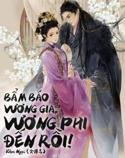 Bìa truyện Bẩm Báo Vương Gia Vương Phi Đến Rồi