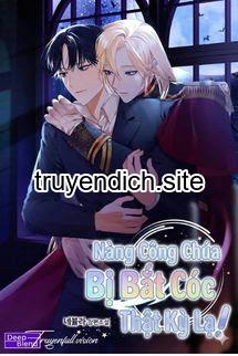 Bìa truyện Nàng Công Chúa Bị Bắt Cóc Thật Kỳ Lạ!