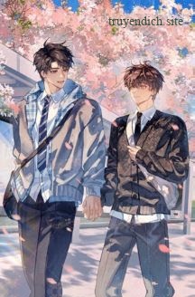 Bìa truyện Không Làm Pháo Hôi Lụy Tình