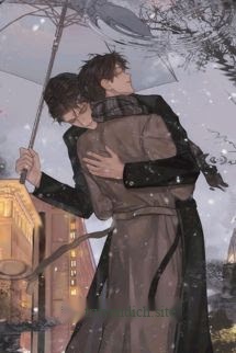 Bìa truyện Hiệu Ứng Giả Dược - Hàm Ngư Định Lý