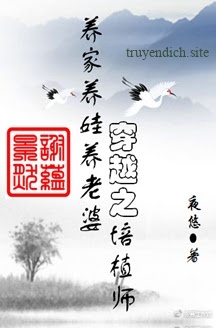 Bìa truyện Xuyên Việt Chi Bồi Thực Sư