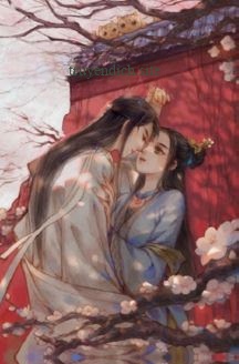 Bìa truyện Xuyên Sách Ta Trở Thành Chính Thất Đanh Đá Của Phản Diện