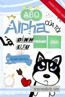 Alpha Của Tôi Là Đỉnh Lưu Trùng Sinh