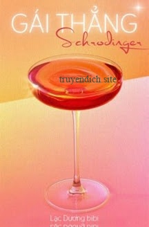 Bìa truyện Gái Thẳng Schrodinger - Lạc Dương bibi