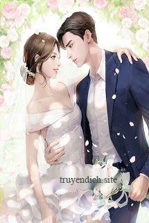 Bìa truyện Thập Niên 70 Vợ Chồng Đại Lão