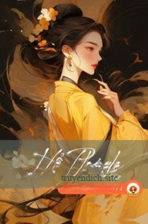 Bìa truyện Hổ Phách - Zhihu