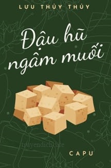 Bìa truyện Đậu Hũ Ngâm Muối - Lưu Thủy Thủy