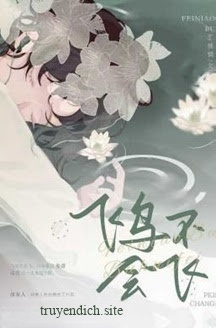 Bìa truyện Chim Không Thể Bay - Độc Trù