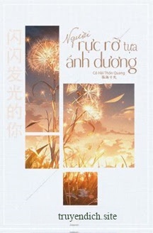 Bìa truyện Người Rực Rỡ Tựa Ánh Dương