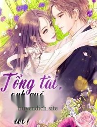 Bìa truyện Tổng Tài Anh Quá Bá Đạo Rồi (FULL - Dịch VIP)