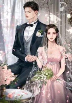 Bìa truyện Tổng Tài Không Nhận Ra Vợ Mình